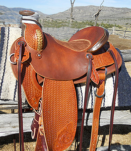 Modified Association Horse Saddles